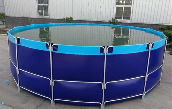 Круглый рыбный пруд для выращивания рыбы