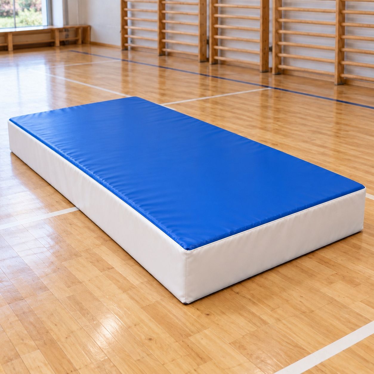 Мат спортивный гимнастический мягкий 200 × 100 × 20 см